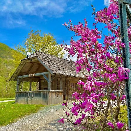 Camping Danica Cottage Stan بوينج المظهر الخارجي الصورة