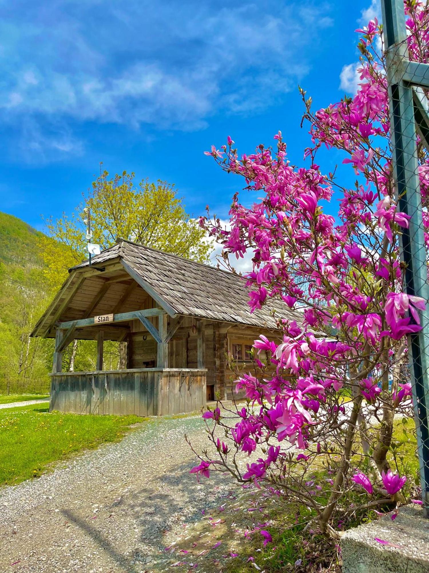 Camping Danica Cottage Stan بوينج المظهر الخارجي الصورة